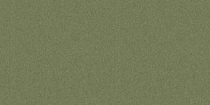 A. Grifoni Palazzo Peterhof 7008-8