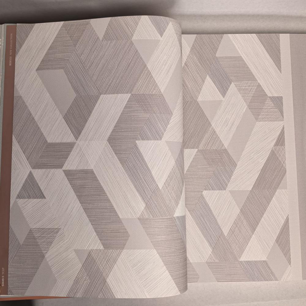 Andrea Rossi Berggi 54449-3