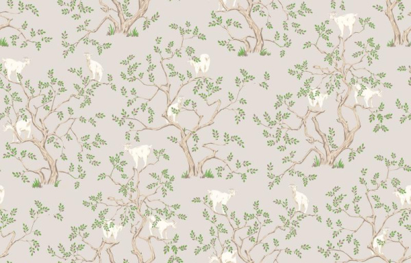 Loymina Origins ALS5 008